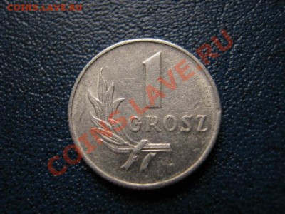 Польша 1 грош 1949  до 08.11 в 21.00 М - IMG_1116