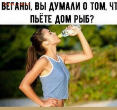 юмор - IMG-20211201-WA0007