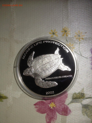 500 Сика. Защита морского мир Черепаха, 2003 до 07.12 - wI21-EfOtEw