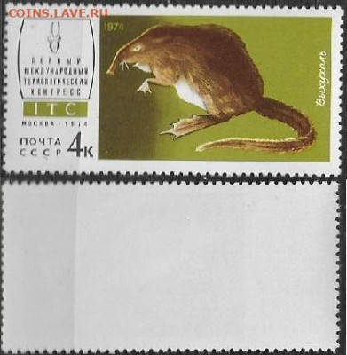 Марки СССР 1974. №4353. Выхухоль - 4353