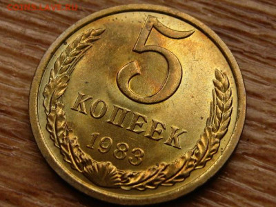 5 копеек 1983 до 06.12 в 22.00М - IMG_2253.JPG