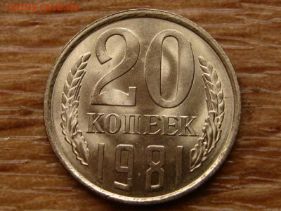 20 копеек 1981 до 06.12 в 22.00М - IMG_2374.JPG