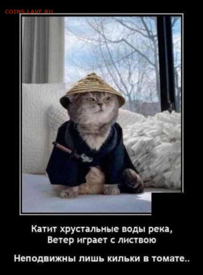 юмор - IMG-20211202-WA0009