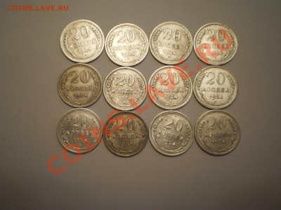 20 коп.1924 (12 шт) до 09.11 в 21:30 Москвы - P1010858.JPG