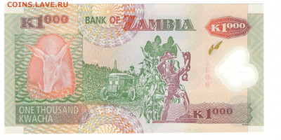 Замбия 1000 квача 2009 год пластик пресс UNC - Замбия 1000 квача 2009 Б