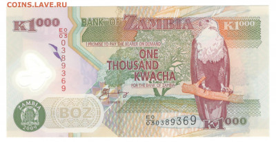 Замбия 1000 квача 2009 год пластик пресс UNC - Замбия 1000 квача 2009 А