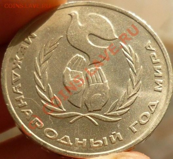 ШАЛАШ (2), СОХРАН!!!, ДО ЗАВТРА 20-00 - P1020086.JPG