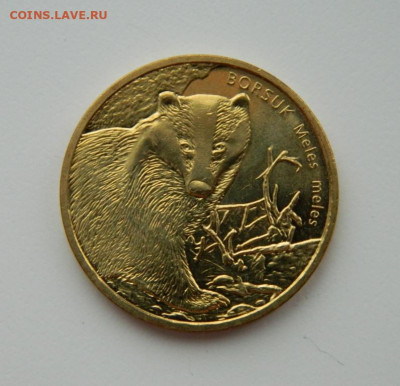 Польша 2 злотых 2011 г. (Юбилейная) Барсук до 09.12.21 - DSCN1860.JPG