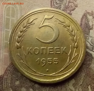 5 копеек 1955. До 9.12.21 в 22.00 - 20211205_235330