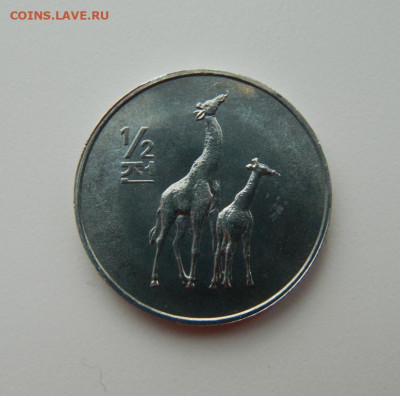 2 чон 2002 г.(Юбилейная)Жирафы до 09.12.21 - DSCN1826.JPG