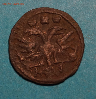 полушка 1720года. до 08.12.2021 г. в 23.00 - _DSC2746.JPG