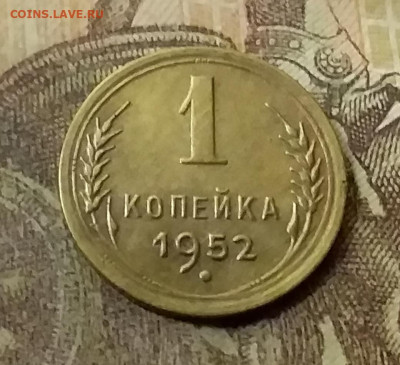 1 копейка 1952. До 9.12.21 в 22.00 - 20211207_011147