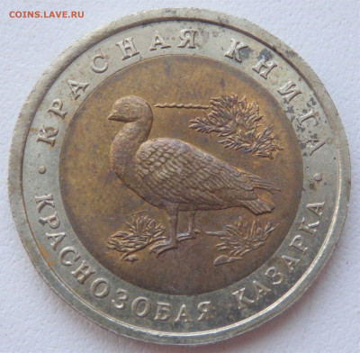 10 рублей 1992 года  Краснозобая Казарка до 09.12.2021 22-00 - PC070066 (2).JPG