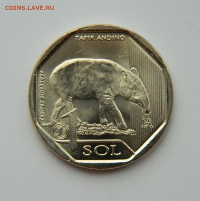 Перу 1 соль 2018 г. (Юбилейная) Фауна до 14.12.21 - DSCN1958.JPG