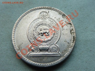 ЦЕЙЛОН 25с 1978г.   до 10.11.11 в 22-00 - MEMO0026.JPG
