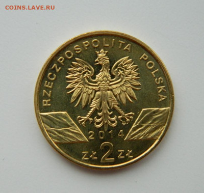 Польша 2 злотых 2014 г. (Юбилейная) Лошадь до 14.12.21 - DSCN1933.JPG
