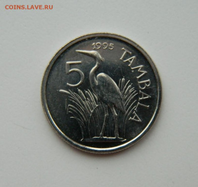 Малави 5 тамбала 1995 г. (Фауна) до 14.09.21 - DSCN1935.JPG