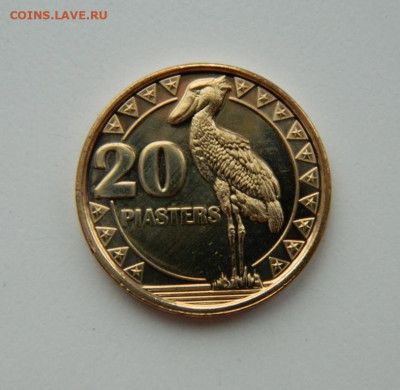 Южный Судан 20 пиастров 2015 г. (Фауна) до 14.12.21 - DSCN1939.JPG