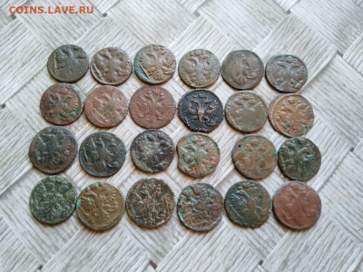 24 полушки 1731-1750 до 12.12.2021 - 24пол (2) - копия