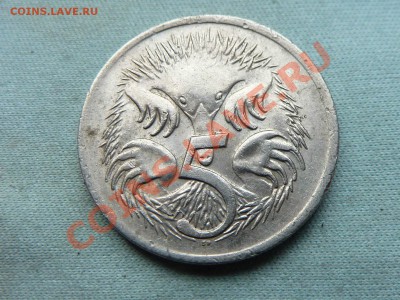АВСТРАЛИЯ 5с 1974г.ЕХИДНА до 10.11.11 в 22-00 - MEMO0072.JPG
