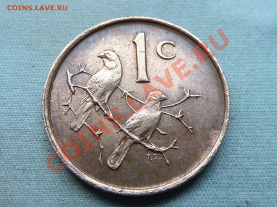 ЮЖНАЯ АФРИКА 1с 1989г. ВОРОБЬИ до 10.11.11 в 22-00 - MEMO0089.JPG