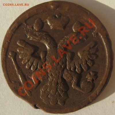 Денга 1736, красивая, до 22-00 мск 08.11.2011 - 1.JPG