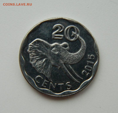 Свазиленд 20 центов 2015 г. (Фауна) до 14.12.21 - DSCN1980.JPG
