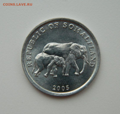 Сомалиленд 5 шиллингов 2005 г.(Фауна) до 14.12.21 - DSCN1853.JPG