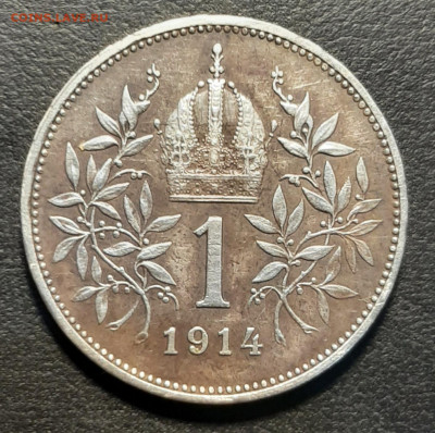 Австро-Венгрия 1 крона 1914. - 20211209_010847
