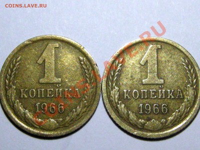 1967 без остей? 1988 Носик у еденицы - IMG_5637.JPG