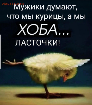 юмор - Screenshot_20211211-062035_Instagram