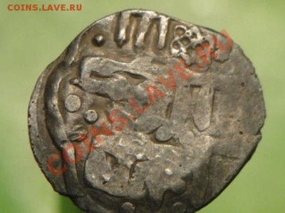 Чешуя разная на определение  и оценку. - DSC02524.JPG