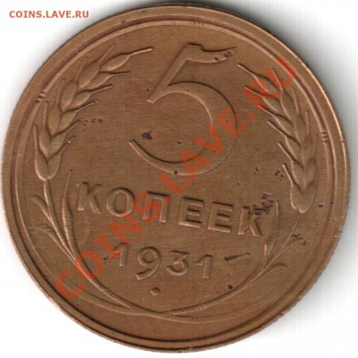 5 копеек 1931 - 5 1931