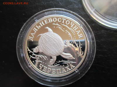 1 руб  Дальневосточная черепаха 2003 - IMG_0052.JPG