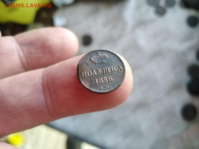 полушка 1856 ЕМ до 14.12.2021 - 1856 (28) - копия