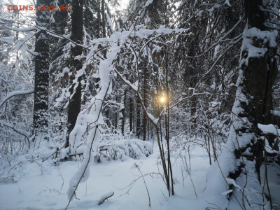 ФОТО - просто фото. Те что получились удачными. - IMG-20211211-WA0009
