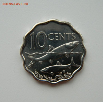 Багамские острова 10 центов 2010 г. (Фауна) до 16.12.21 - DSCN1894.JPG