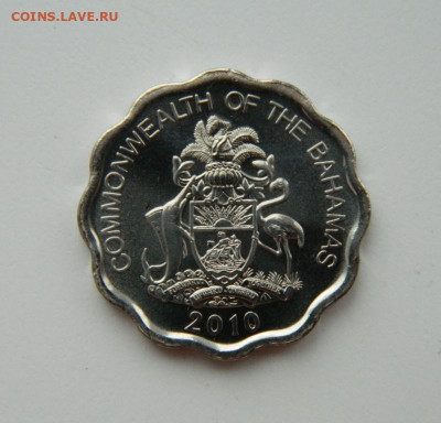 Багамские острова 10 центов 2010 г. (Фауна) до 16.12.21 - DSCN1895.JPG