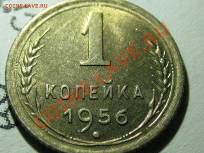 1967 без остей? 1988 Носик у еденицы - IMG_4572