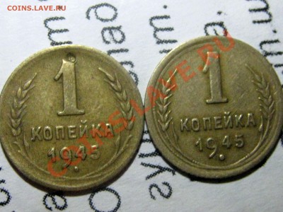 1967 без остей? 1988 Носик у еденицы - IMG_4566