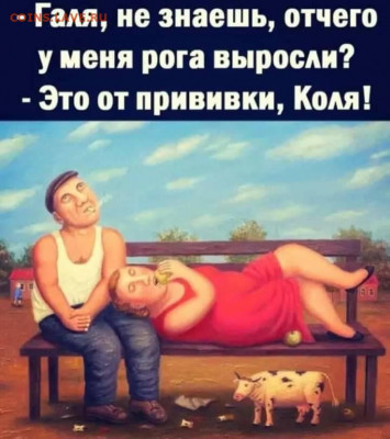 юмор - IMG-20211212-WA0001