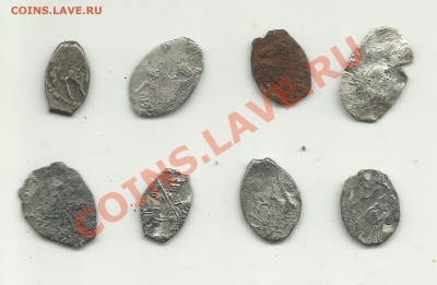 Чешуйки на определение - 3