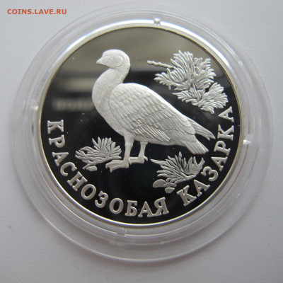 Серебро 1 р., 1994 год. Казарка, Медведь, Кобра - IMG_5760.JPG