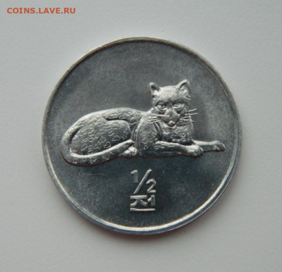 2 чон 2002 г.(Юбилейная)Леопард до 19.12.21 - DSCN2090.JPG