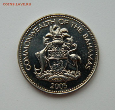 Багамские острова 5 центов 2005 г.  до 19.12.21 - DSCN1876.JPG