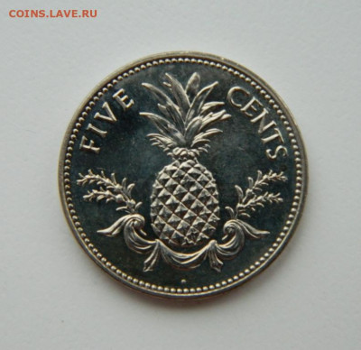 Багамские острова 5 центов 2005 г.  до 19.12.21 - DSCN1877.JPG