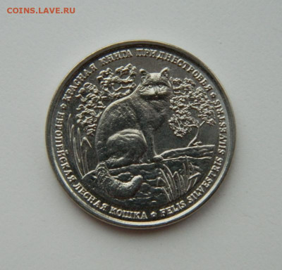 Приднестровье 1 рубль 2020 г. (Кошка) Юбилейная  до 19.12.21 - DSCN1900.JPG