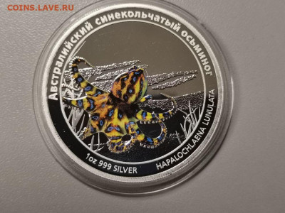 1 долл 2011 Тувалу - Австрал. осьминог, серебро. до 19.12 - Z Осьминог-1