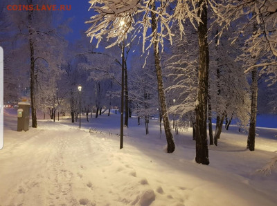 делает - прямо сейчас !!! - Screenshot_20211214-082547_Gallery