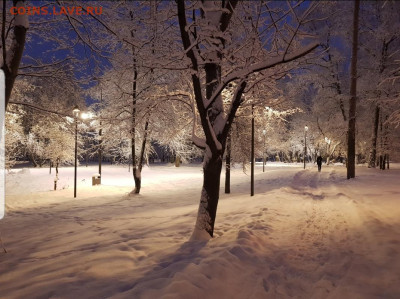 делает - прямо сейчас !!! - Screenshot_20211214-082534_Gallery